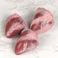 Meat Cut Spec Step 3